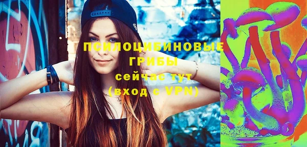 индика Наволоки