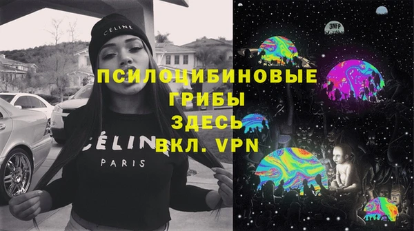 индика Наволоки