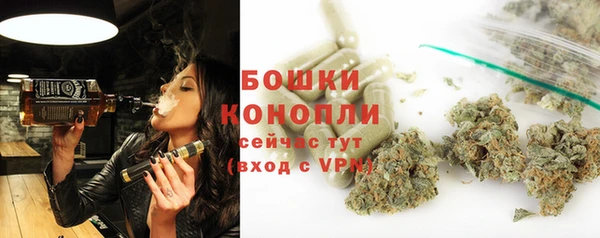 ешки Михайлов