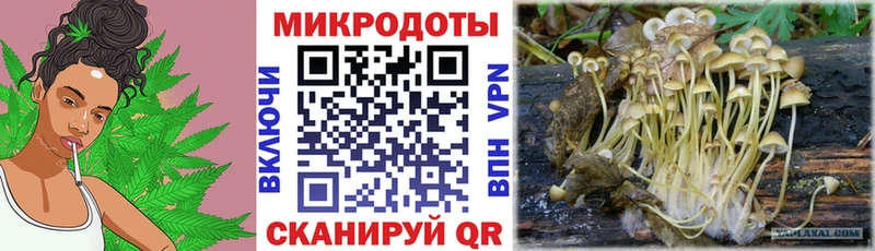 Псилоцибиновые грибы мицелий  где продают   Сорск 